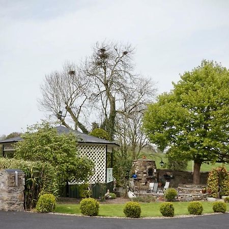 Cartron House Bed & Breakfast Ballinakill  Exterior photo