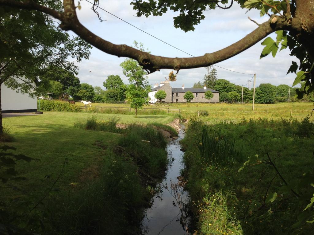 Cartron House Bed & Breakfast Ballinakill  Exterior photo
