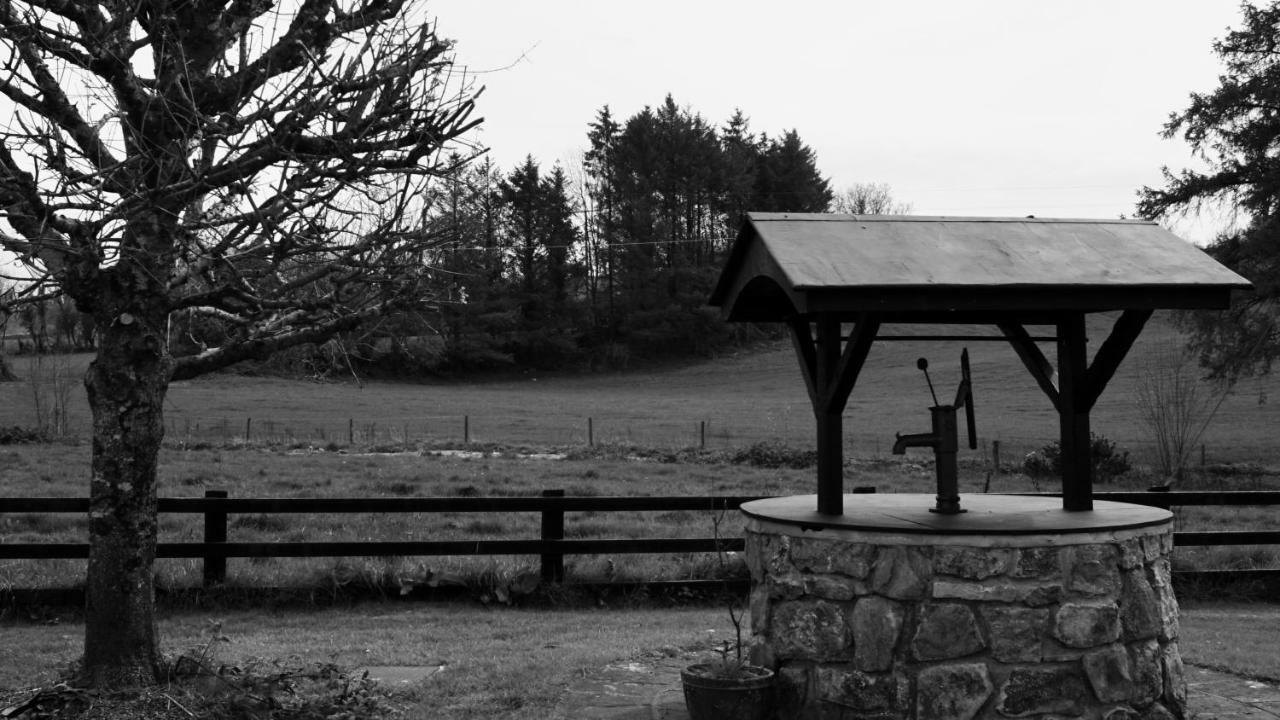 Cartron House Bed & Breakfast Ballinakill  Exterior photo