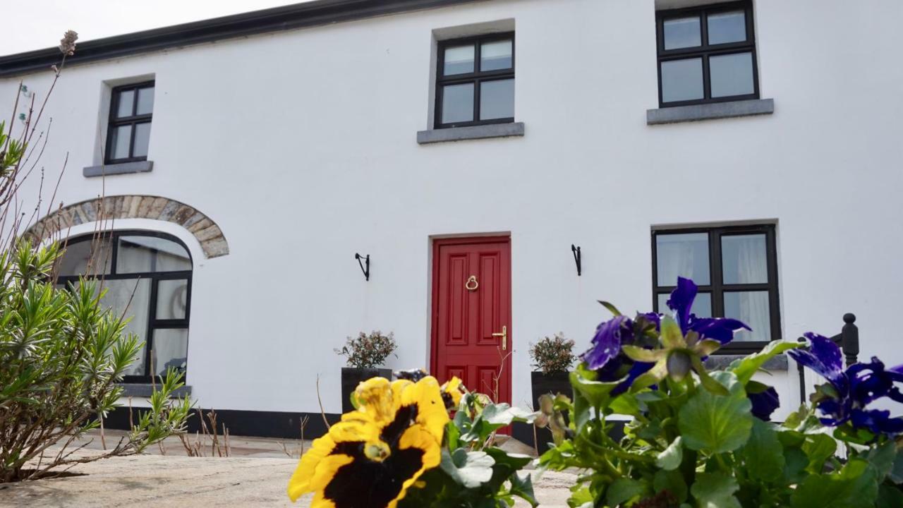 Cartron House Bed & Breakfast Ballinakill  Exterior photo