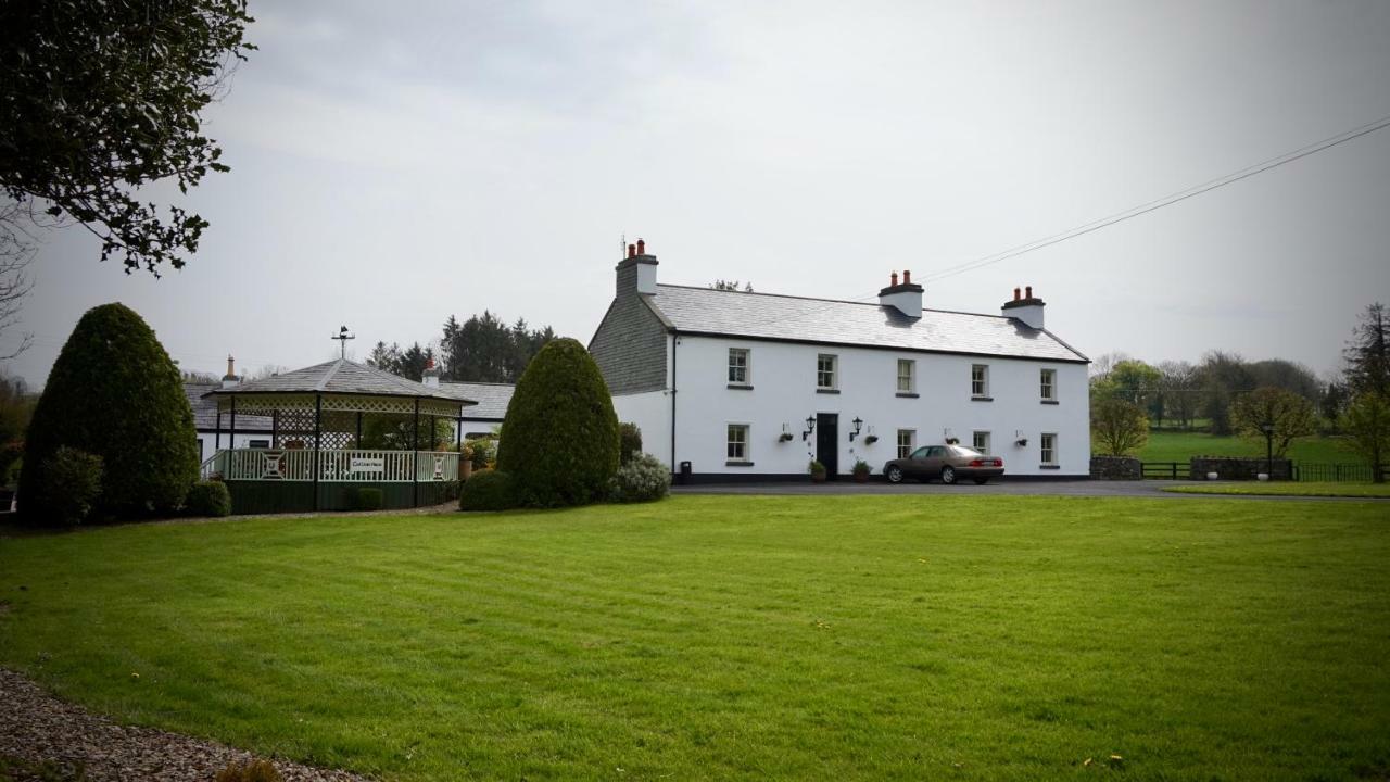 Cartron House Bed & Breakfast Ballinakill  Exterior photo