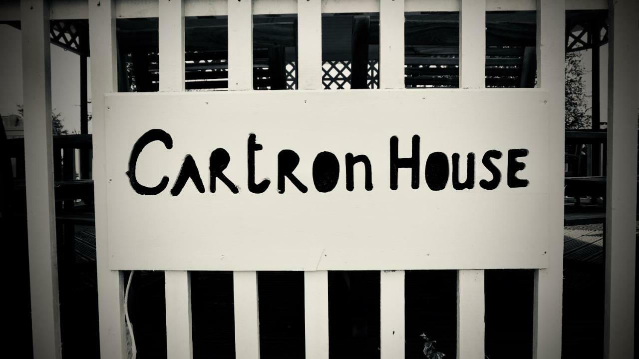 Cartron House Bed & Breakfast Ballinakill  Exterior photo