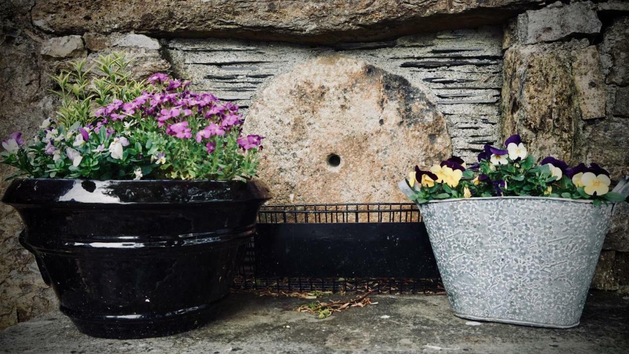 Cartron House Bed & Breakfast Ballinakill  Exterior photo