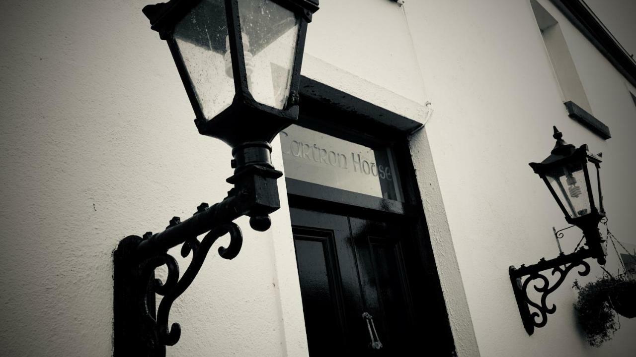 Cartron House Bed & Breakfast Ballinakill  Exterior photo